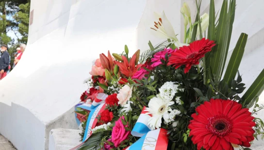 Obilježavanje Dana Europe  i Dana pobjede nad fašizmom 