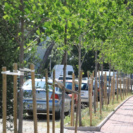 Od 29. listopada do 4. studenoga: Sudjelujte u anketi i dajte svoj prijedlog za zeleniju Makarsku